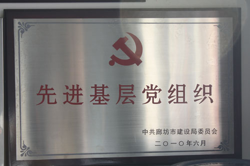 2009年度先进基层党组织